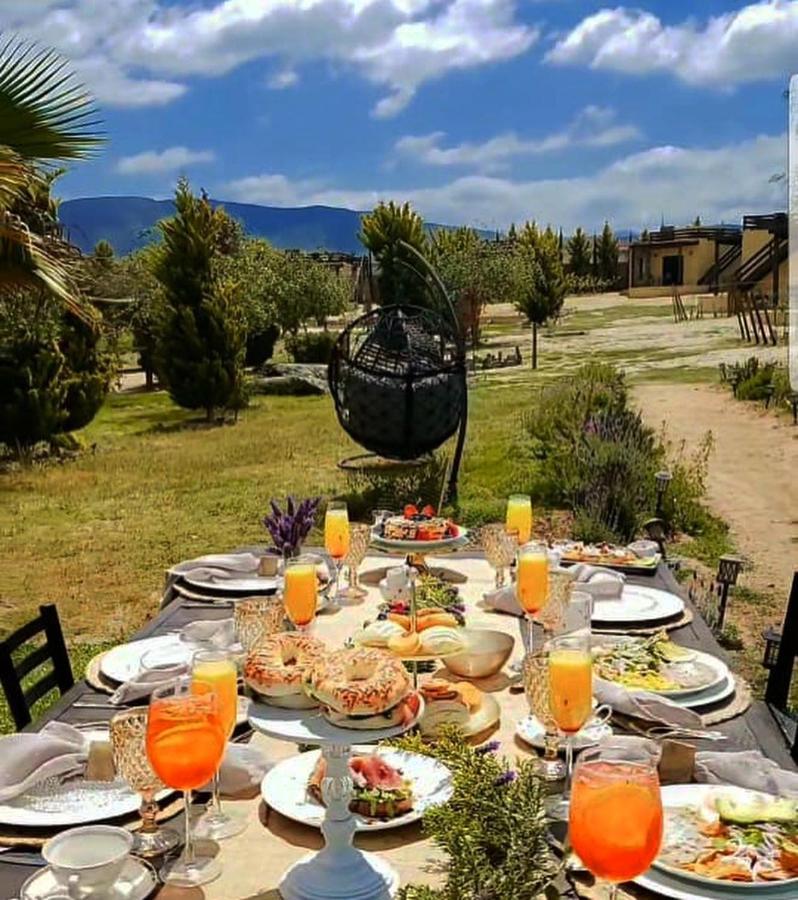 Cuatro Lunas Hotel Boutique Вале де Гуадалупе Екстериор снимка